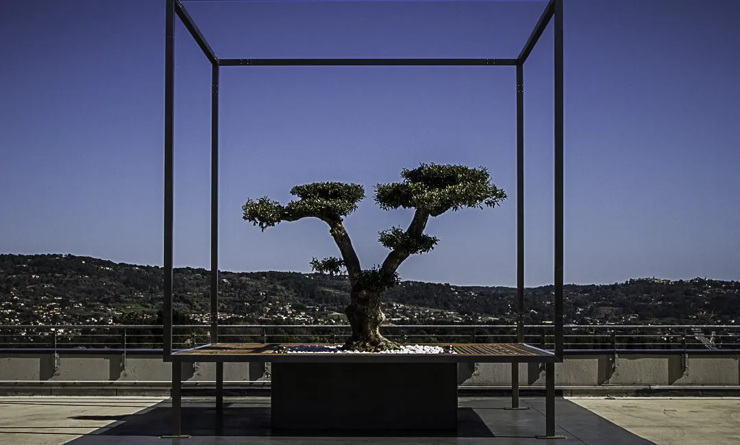 Le_Cube_Receptions-1080x650_1_1